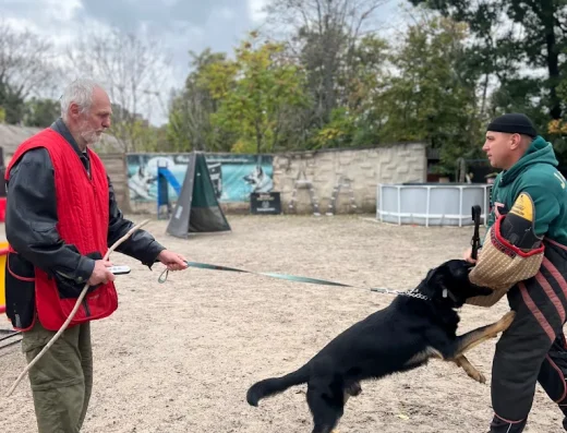 Навчально-дресирувальний центр “Компаньйон”