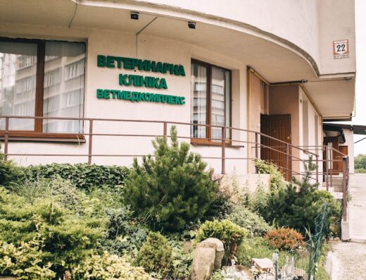 Цілодобова ветеринарна клініка “Ветмедкомплекс”