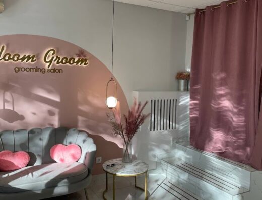 Грумінг-салон, Зоомагазин “Bloom groom”