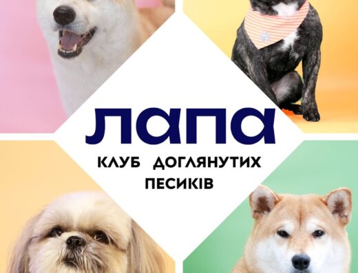 Грумінг-кабінет “Lapa”