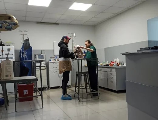 ВетКОіН (Ветеринарна Клініка ортопедії та неврології)