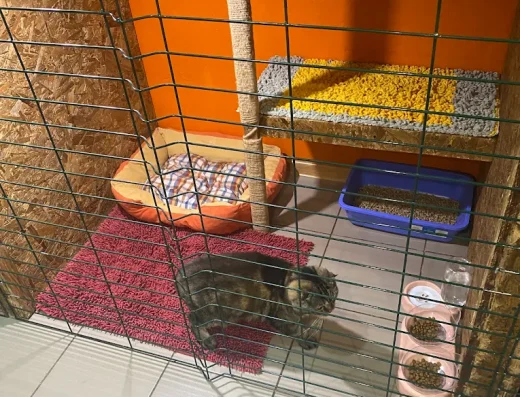 Готель для улюбленців “ZooParking” Одеса