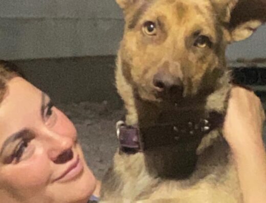 Притулок для тварин Кам’янської міської ради