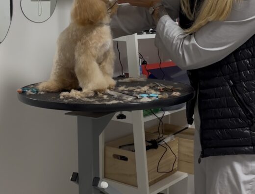 Студія грумінгу “Love your pets studio”