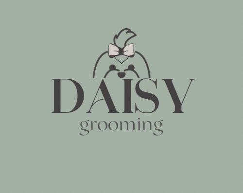 Грумінг салон | зоотовари “Daisy Grooming”