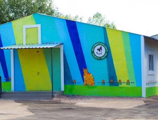 Житомирський Центр Захисту Тварин “Four Paws”