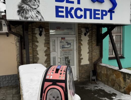 Ветеринарна клініка “ВетЕксперт”