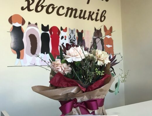 Грумінг-салон “Територія хвостиків”