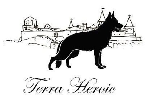 Розплідник німецьких вівчарок “TERRA HEROIC”