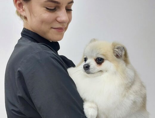 Студія грумінгу “Chichi groom”