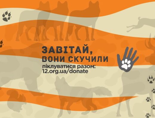 XII Місяців