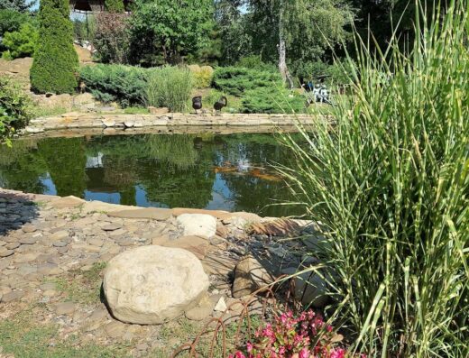 Регіональний Ландшафтний Парк «Фельдман Екопарк»