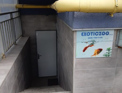 Магазин акваріумних рибок “ExoticZOO”