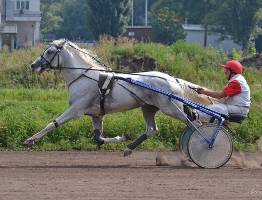 КП «Київський іподром»