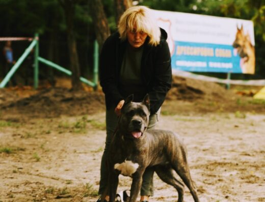 Школа службового собаківництва “Міжнародної поліцейської корпорації цивільної безпеки”