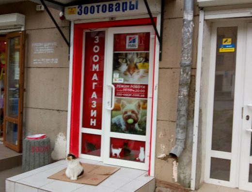 Зоомагазин “ЗооОскар”