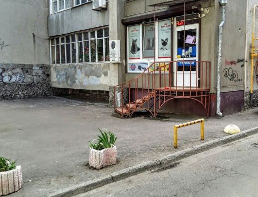 Зоомагазин “Мур-котик”