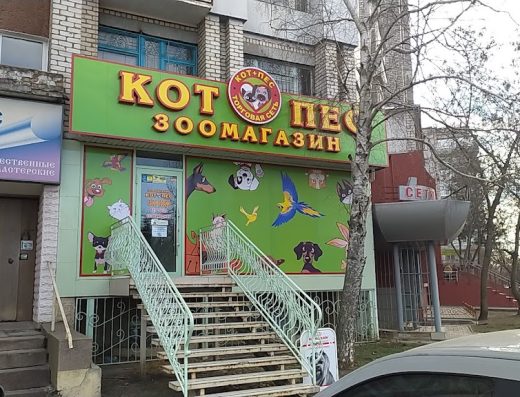 Зоомагазин “Кіт + Пес”