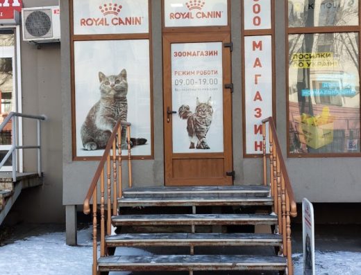 Зоомагазин та розплідник шотландських котів “Зоозабава”
