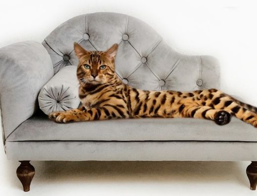Магазин “Dog Bed & Sofa Cat”