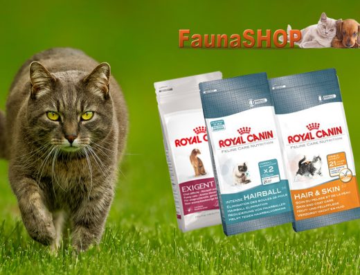 Магазин зоотоварів «Faunashop»