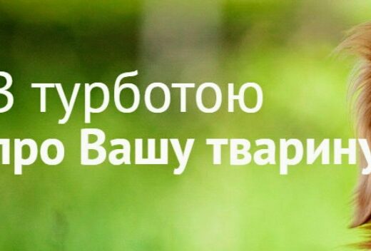 Ветеринарний госпіталь “Step”