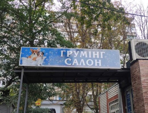 Грумінг салон у Голосіївському