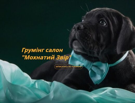 Грумінг салон “Мохнатий Звір”