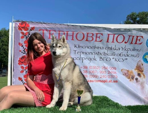 Розплідник собак “DELOKIS TERRA”