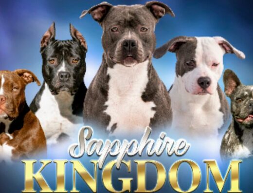 Розплідник “Sapphire Kingdom”