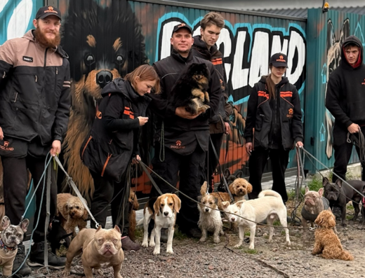DOGLAND by Loktionov | КІНОЛОГ У КИЄВІ | ДРЕСИРУВАННЯ СОБАК КИЇВ