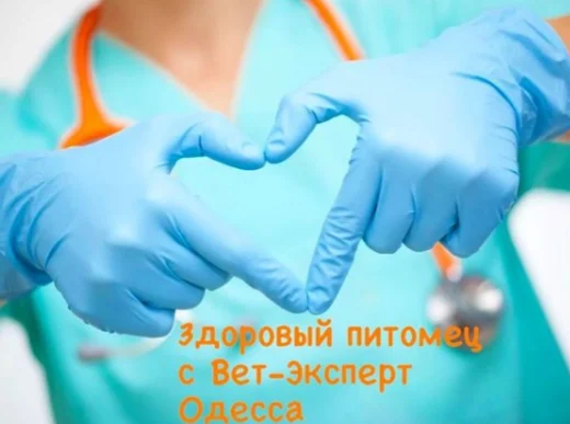 Ветеринарна клініка “Вет-Експерт”