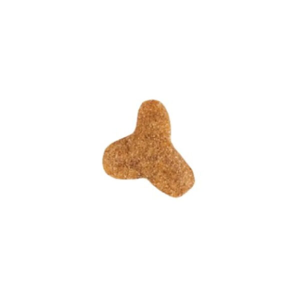 Royal Canin Gastro Intestinal Fibre Response feline сухий (упаковка 400 гр) - Зображення 2