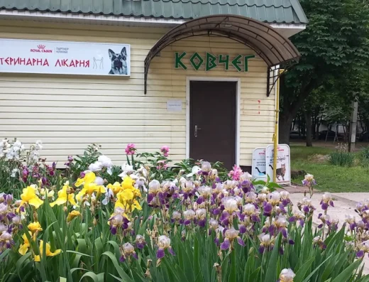 Ветеринарна лікарня “Ковчег”