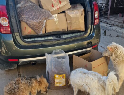 Фонд допомоги безпритульним тваринам “Happy Paw”