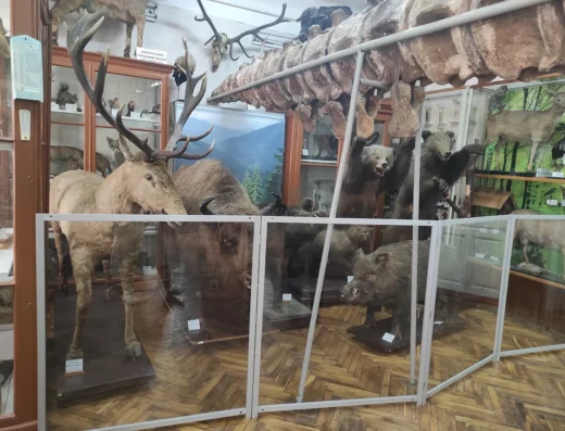 Природничий музей ЧНУ імені Юрія Федьковича