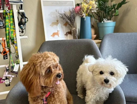 Зоомагазин-кав’ярня “Pet’s & Coffee”