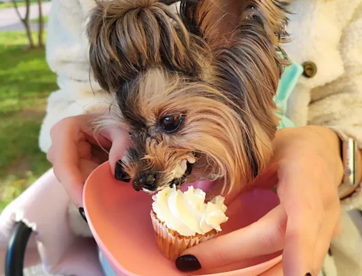 Ресторан-кондитерська “Fluffy&Family”