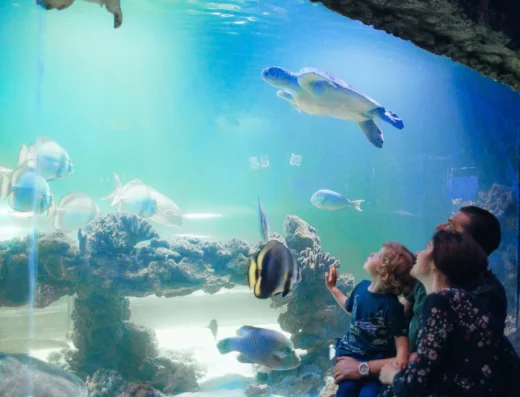 Океанаріум «Морська Казка»