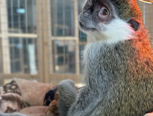 Запорізький зоопарк “Zooworlds”