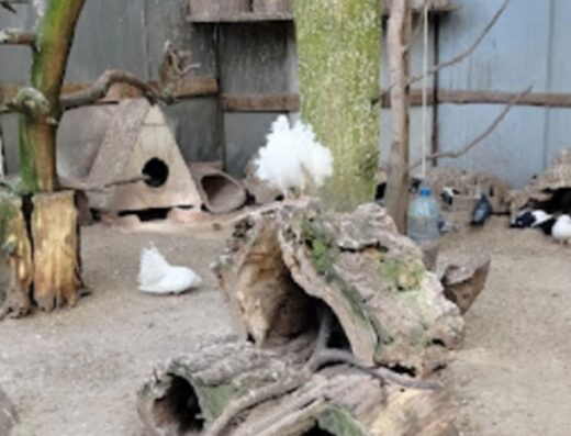 Музей живої природи флори і фауни «Олександрія»