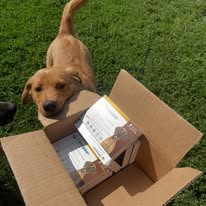 Притулок для тварин “Велике Серце Милосердя”