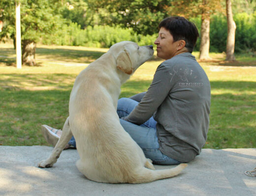 Розплідник лабрадорів ретриверів “Otono Beso”