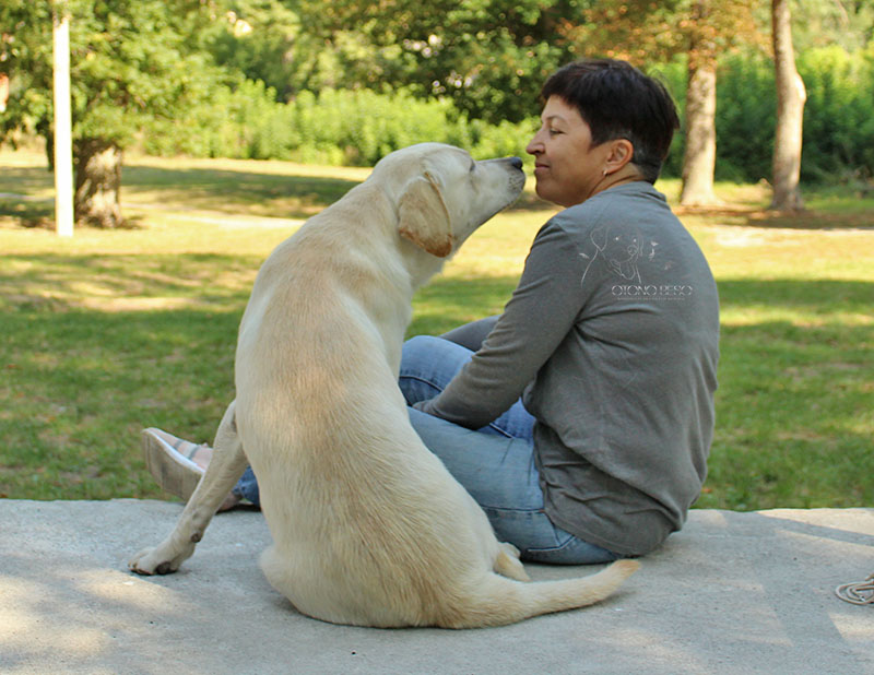Розплідник лабрадорів ретриверів «Otono Beso»