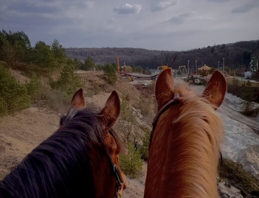 Кінний Клуб «Aria”