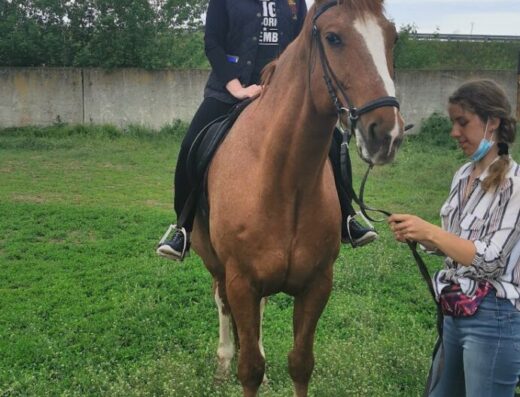 Кінний клуб “Ей-Ді”