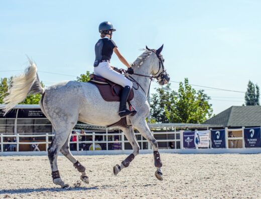 Кінний клуб “Klimenko Stable”