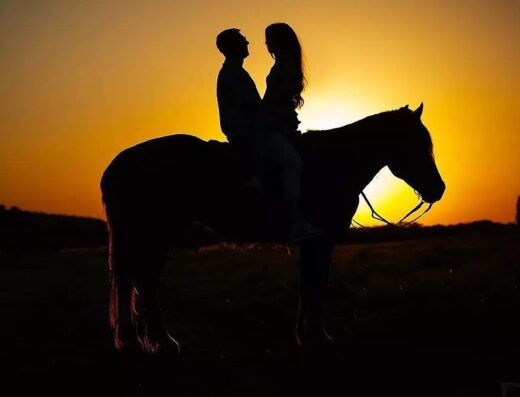 Кінний клуб “AlexDar”