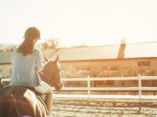 Кінно-спортивний клуб “Hemingway”