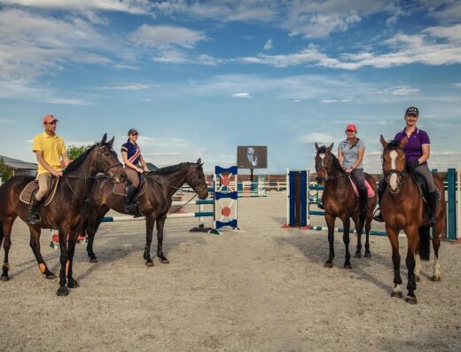 Сімейний кінний клуб “Дергачов”
